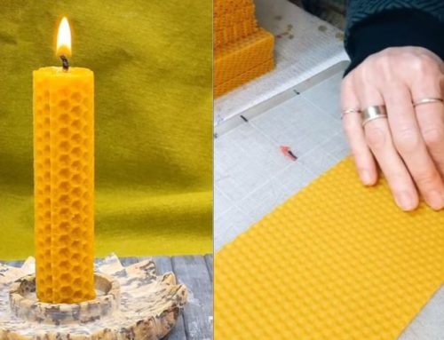 ¿Cómo hacemos las velas de cera de abeja?