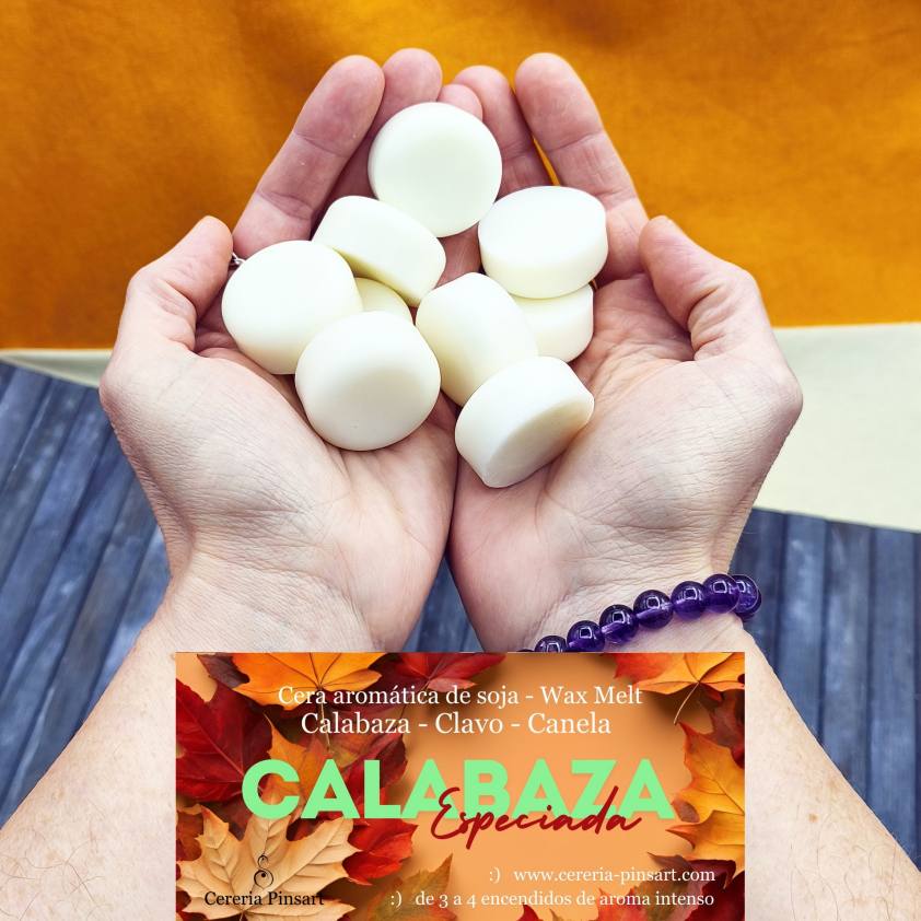 Wax melts Calabaza Canela y Clavo